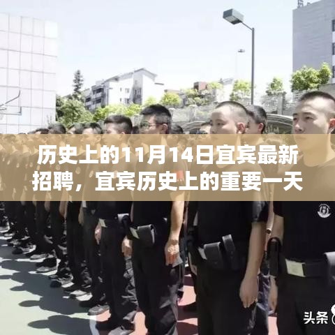 宜賓歷史上的重要一天，揭秘十一月十四日最新招聘及其深遠影響