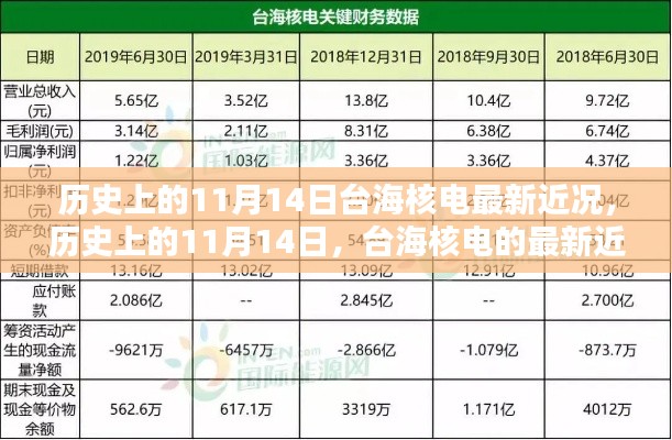 歷史上的11月14日，臺(tái)海核電的最新近況及其影響分析概覽