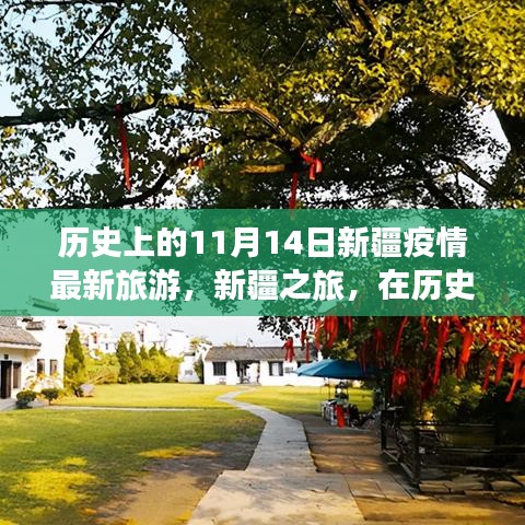 歷史的11月14日，新疆疫情最新旅游動態(tài)與心靈之旅的寧靜與奇跡探尋