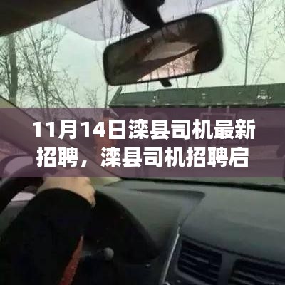 11月14日灤縣司機(jī)招聘啟事，最新職位空缺，開啟職業(yè)新征程