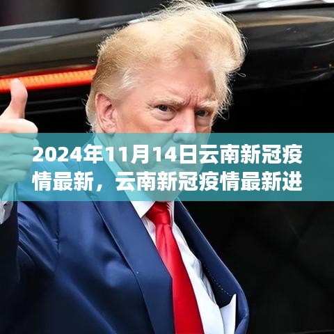 2024年11月14日云南新冠疫情最新進(jìn)展與回顧展望