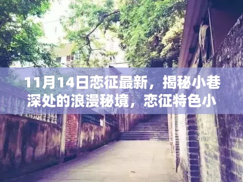 揭秘小巷深處的浪漫秘境，戀征特色小店的最新篇章（11月14日更新）