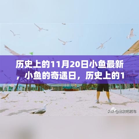 歷史上的11月20日，小魚奇遇日的溫馨小事回顧