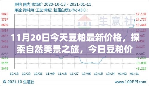 啟程尋找內(nèi)心平和，今日豆粕最新價格與自然美景之旅的寧靜故事