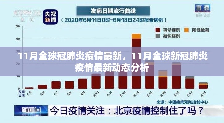 11月全球新冠疫情最新動(dòng)態(tài)分析與綜述