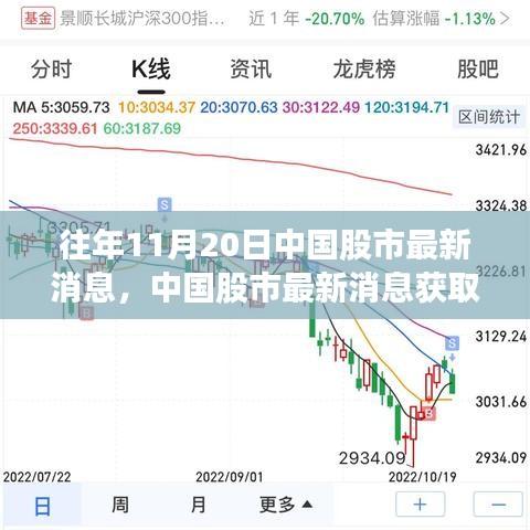 往年11月20日中國股市動態(tài)解析，獲取最新消息指南及初學(xué)者進階技巧