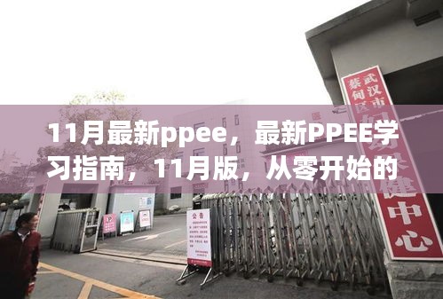 最新PPEE學(xué)習(xí)指南，從零開始的詳細(xì)步驟教程（11月版）