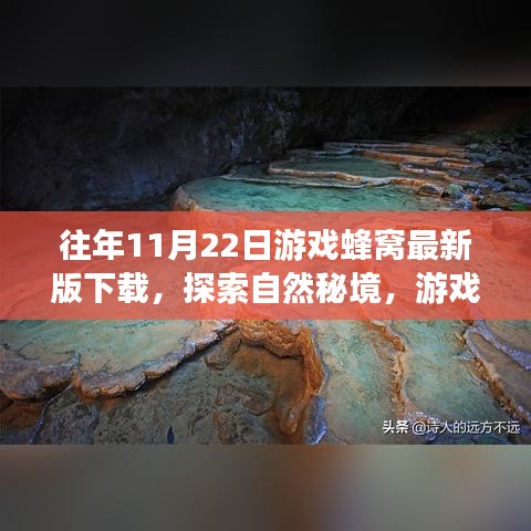 游戲蜂窩帶你探索自然秘境，最新下載，心靈平靜之旅