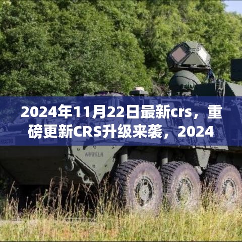 重磅更新CRS升級來襲，解讀最新政策與應對策略，2024年CRS新動向解析