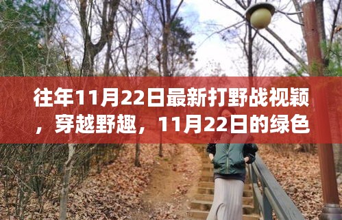 往年11月22日最新打野戰(zhàn)視穎，穿越野趣，11月22日的綠色冒險之旅，尋找內(nèi)心的寧靜與平和