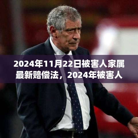 深度解讀2024年被害人家屬賠償法，背景、進(jìn)展與影響