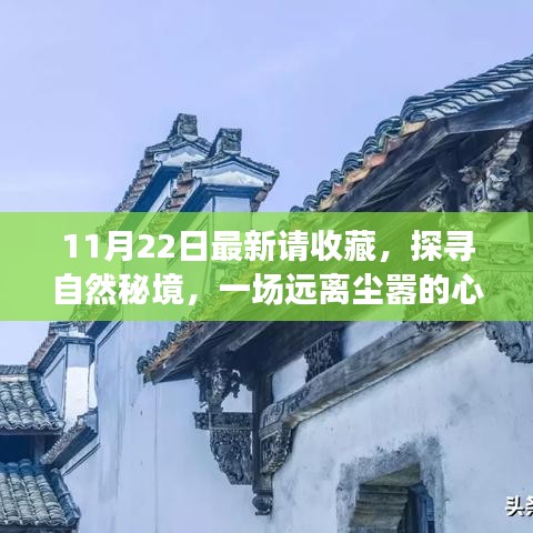 11月22日探尋自然秘境之旅，心靈啟程，珍藏美好瞬間