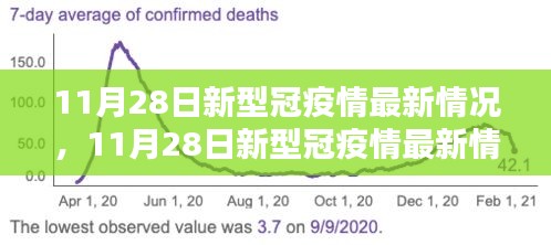 全面評(píng)測(cè)與深度解析，11月28日新冠疫情最新情況