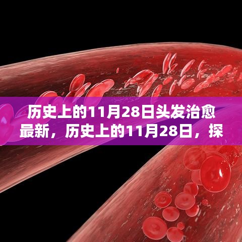 歷史上的11月28日，探尋頭發(fā)治愈的最新篇章??