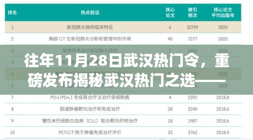 『揭秘武漢熱門之選，前沿科技新品重磅登場』