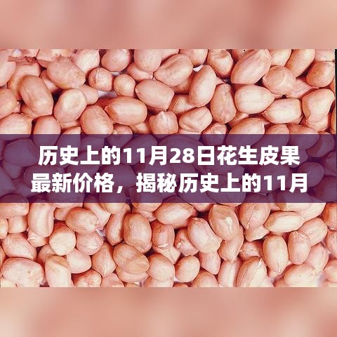 全方位解析，歷史上的11月28日花生皮果最新價(jià)格獲取與解讀步驟指南