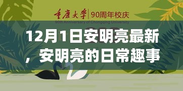 安明亮日常趣事，溫馨時光回顧，12月1日的精彩瞬間