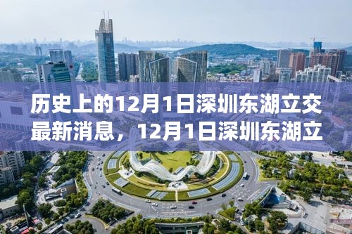 深圳東湖立交新進展，自然美景的心靈之旅啟程日紀念報道