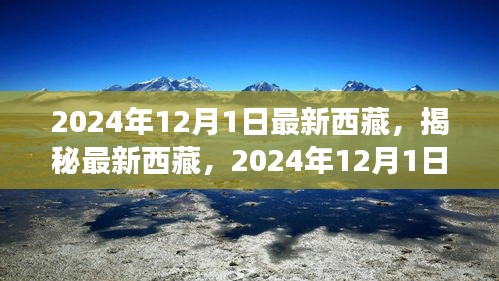 揭秘最新西藏，2024年西藏之旅的精彩瞬間（獨家報道）