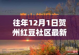 賀州紅豆社區(qū)往年1月1日最新主題深度評(píng)測(cè)與介紹