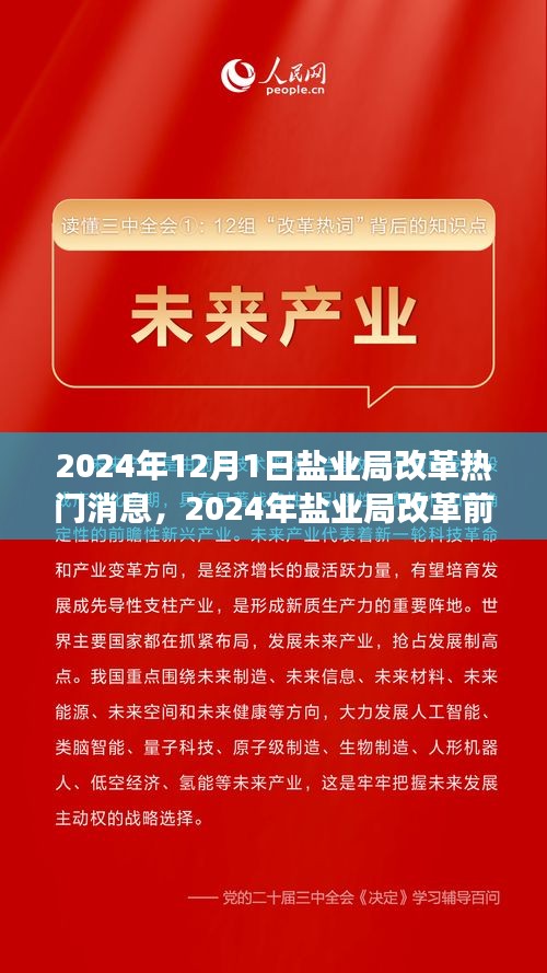 鹽業(yè)局改革前沿動態(tài)，創(chuàng)新策略與未來展望（2024年鹽業(yè)局改革熱門消息）