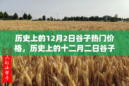 深度解析，歷史上的谷子熱門價格變遷與背景事件影響——十二月二日的回顧與剖析