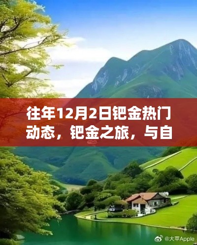 鈀金之旅，與自然美景相遇，探尋內(nèi)心寧?kù)o的熱門(mén)動(dòng)態(tài)回顧