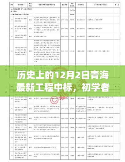 歷史上的12月2日青海最新工程中標(biāo)，初學(xué)者與進(jìn)階用戶的全程指南