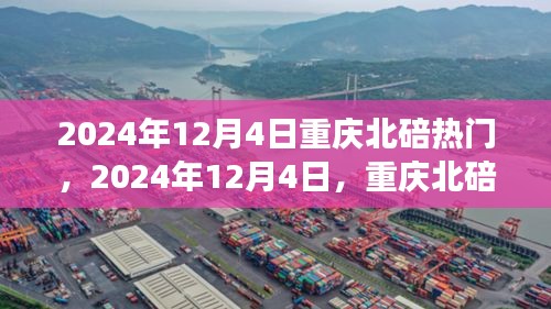 2024年12月4日重慶北碚之旅，探尋自然美景，重拾心靈寧靜