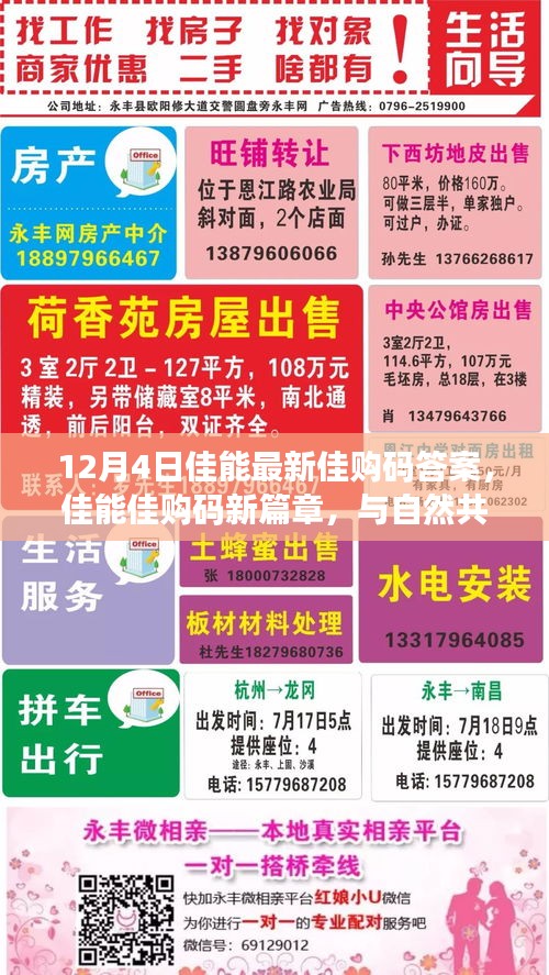 佳能佳購碼新篇章揭秘，與自然共舞，探尋心靈寧靜之地（12月4日最新答案）