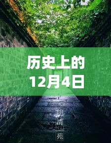 歷史上的12月4日潁上易景售樓盛況揭秘，巷陌間的夢幻售樓空間獨特記憶