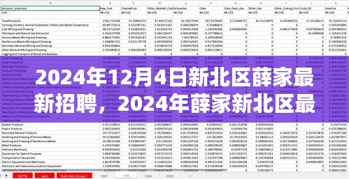 2024年新北區(qū)薛家最新招聘全攻略，適合初學(xué)者與進(jìn)階用戶的應(yīng)聘指南