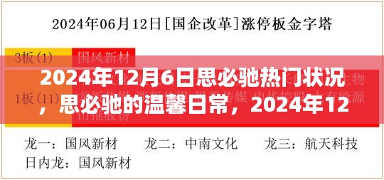 思必馳溫馨日常，揭秘2024年12月6日的奇妙時光