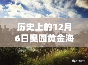 揭秘黃金海岸，歷史上的12月6日最新動(dòng)態(tài)與發(fā)展歷程揭秘