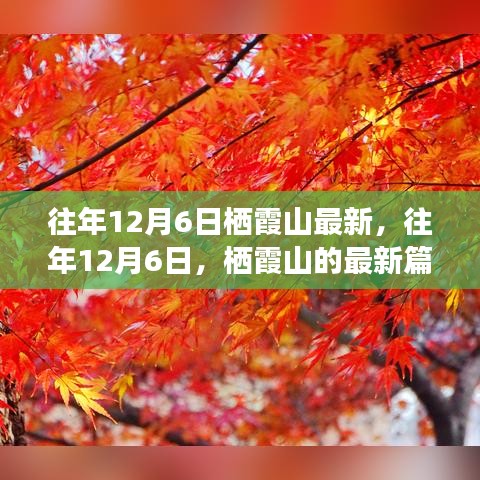 往年12月6日棲霞山深度解析，歷史、事件與地位的新篇章