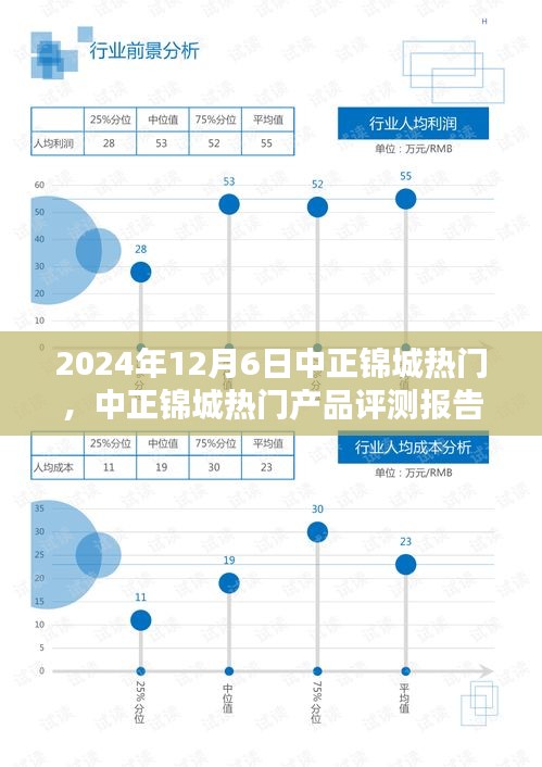 2024年12月6日中正錦城熱門，中正錦城熱門產(chǎn)品評(píng)測(cè)報(bào)告——深度解析與用戶體驗(yàn)分享（XXXX年XX月XX日版）