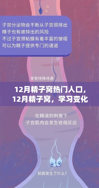 12月精子窩，學習變化與自信成就感的源泉，熱門人生的啟航地