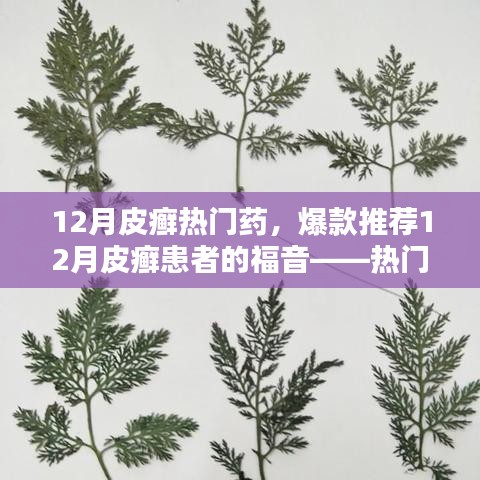 12月皮癬熱門(mén)藥物大盤(pán)點(diǎn)，爆款推薦與患者的福音