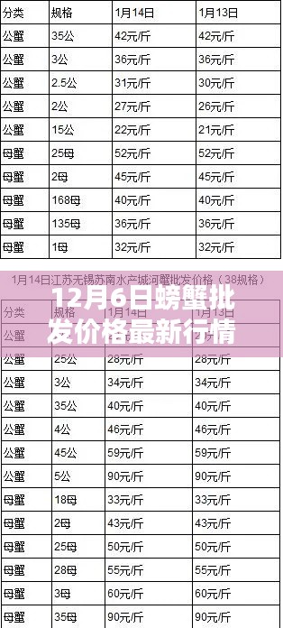 12月6日螃蟹批發(fā)價格最新行情，12月6日螃蟹批發(fā)價格最新行情詳解，入門指南與關(guān)鍵步驟