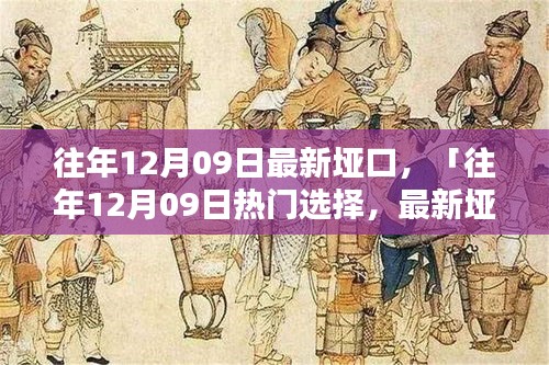 往年12月09日最新埡口產(chǎn)品評測與介紹，熱門選擇詳解