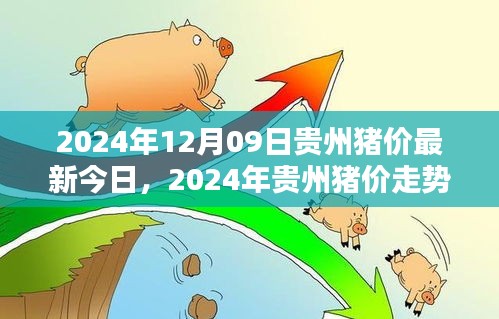 2024年貴州豬價走勢分析與深度探討，最新今日豬價及未來趨勢