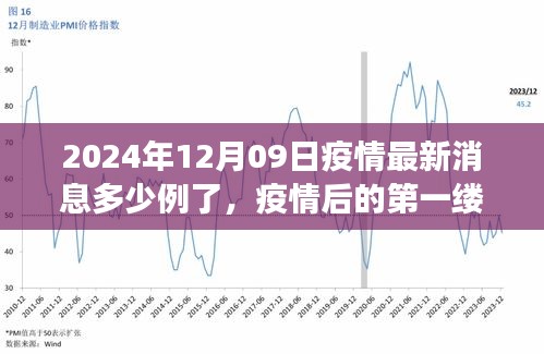 疫情最新消息下的自然美景之旅，啟程尋找內(nèi)心的寧?kù)o港灣（2024年12月09日）