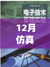 仿真之路，實(shí)時(shí)啟航，迎接自信與成就感的魔法時(shí)刻——十二月仿真需求解析