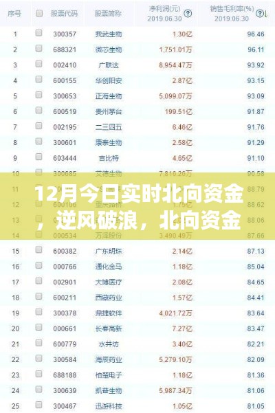 北向資金啟示下的成長奇跡，12月實時洞察，自信成就夢想之旅