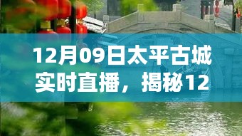 揭秘太平古城直播日，巷弄深處的獨(dú)特小店與探秘之旅