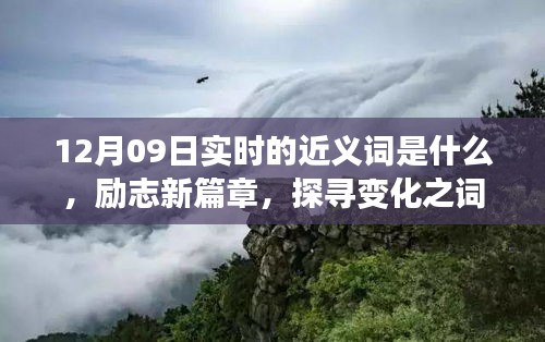 12月09日實(shí)時(shí)近義詞探索與勵(lì)志新篇章，探尋詞匯魔力，學(xué)習(xí)鑄就自信成就之橋