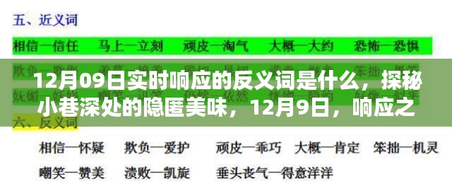 探秘實(shí)時(shí)響應(yīng)反義詞與小巷深處的隱匿美味，12月9日的探索之旅