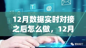 12月數(shù)據(jù)實時對接后的策略指南，多方考量與行動步驟