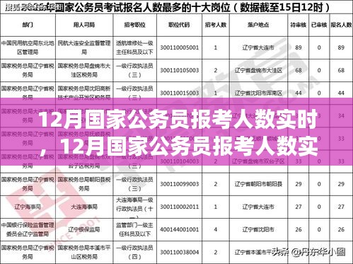 12月國(guó)家公務(wù)員報(bào)考人數(shù)實(shí)時(shí)分析與趨勢(shì)探討，數(shù)據(jù)、策略一覽