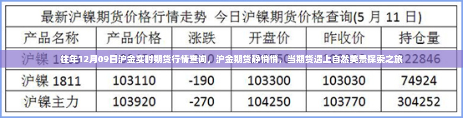 往年12月09日滬金期貨行情解析，靜謐市場(chǎng)與美景探索之旅